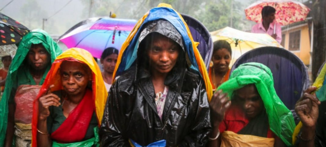 දල්ලට යට වූ ගැහැණිය, කොල්ල කන මැතිවරණ