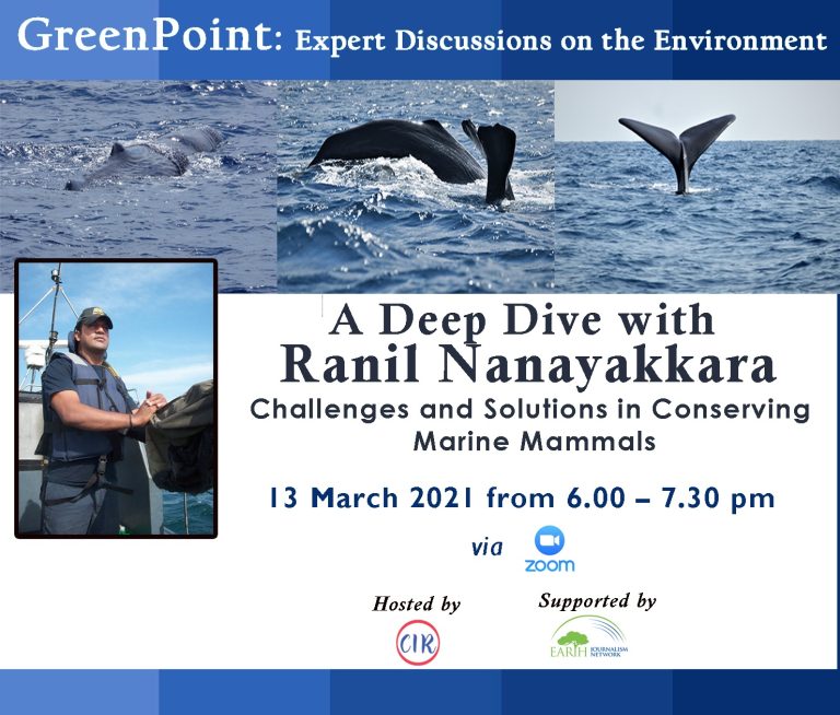 The First GreenPoint Discussion:  A Deep Dive with Ranil Nanayakkara