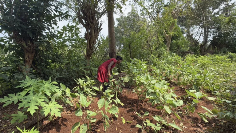 From War to Weather: Tamil Women in Sri Lanka Confront a New Crisis