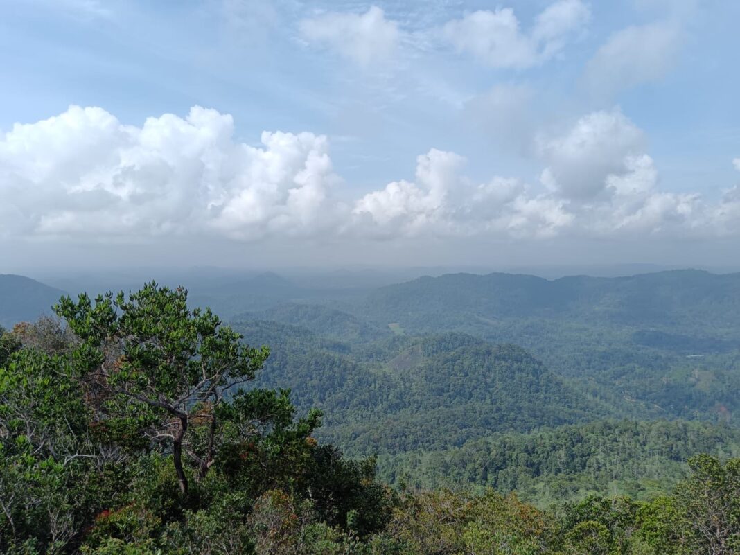 Banner image – The Kanneliya forest reserve is home to an abundance of endemic flora and fauna unique to the wet zone of Sri Lanka. Image courtesy of Vishan Pushpamal.
